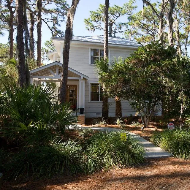 thumbnail for publication: Enviroscaping to Conserve Energy: Trees for South Florida